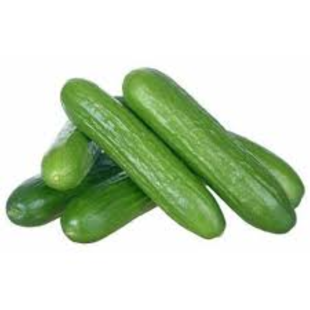 EVERGREEN MINI CUCUMBER 350G
